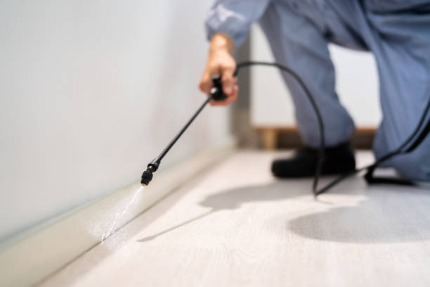 Licensed Fumigation Services service in Ruckersville, VA - Nex Pest Control