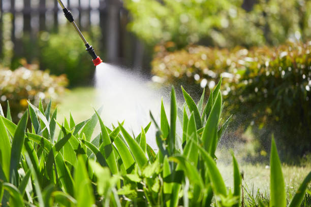 24/7 Emergency Fumigation Services experts in Ruckersville, VA