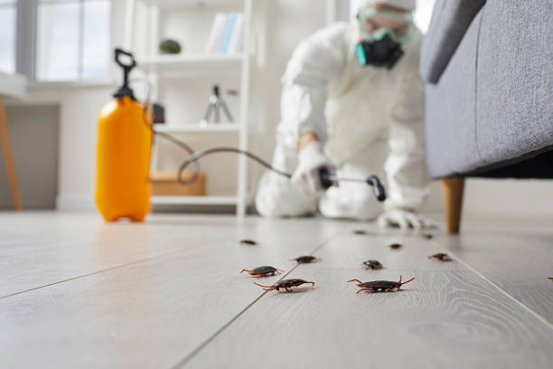 Trusted Termite Control service in Ruckersville, VA - Nex Pest Control